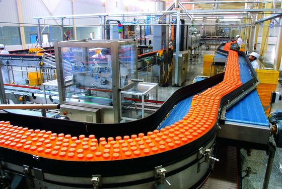 飲料生産のための革命的なパパイア味のジュース生産工場
