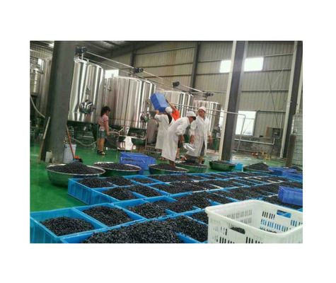 詰め精度 100% 飲料機械 プラスチック/SUS304 ベルト材料 生産ライン