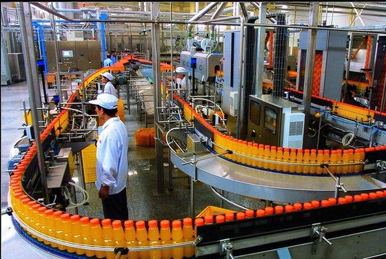 自動プラスチックベルトジュース加工ライン/PETボトル用果汁加工ライン