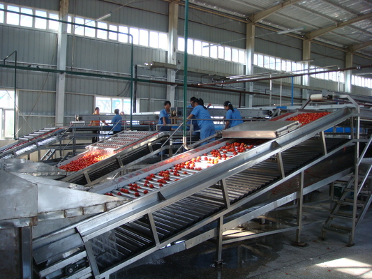 1T-1500T/D トマトパスタ加工ライン